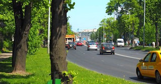 Посадка деревьев и кустарников в Юбилейном — стоимость от 1236 руб.
